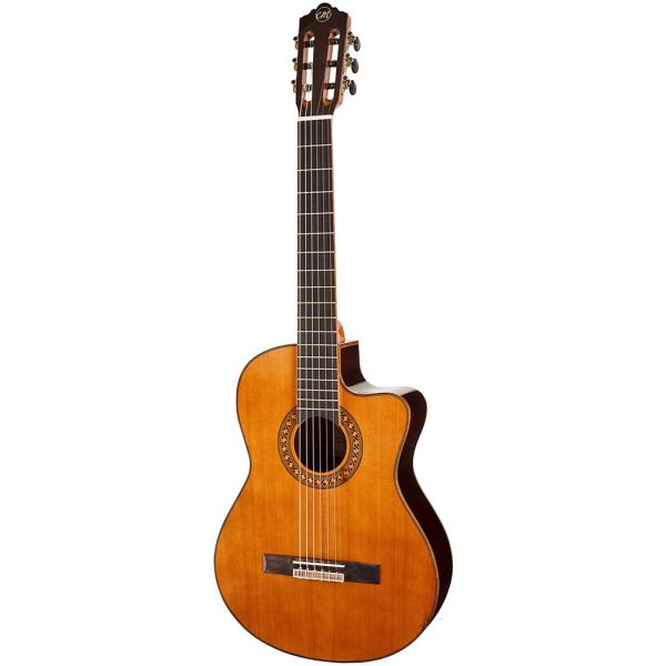 GUITARE CLASSIQUE  Tangelwood EM DC5 2