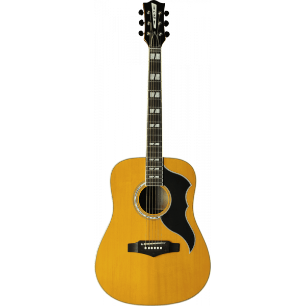 Guitare électro acoustique Eko Ranger VR-Natural