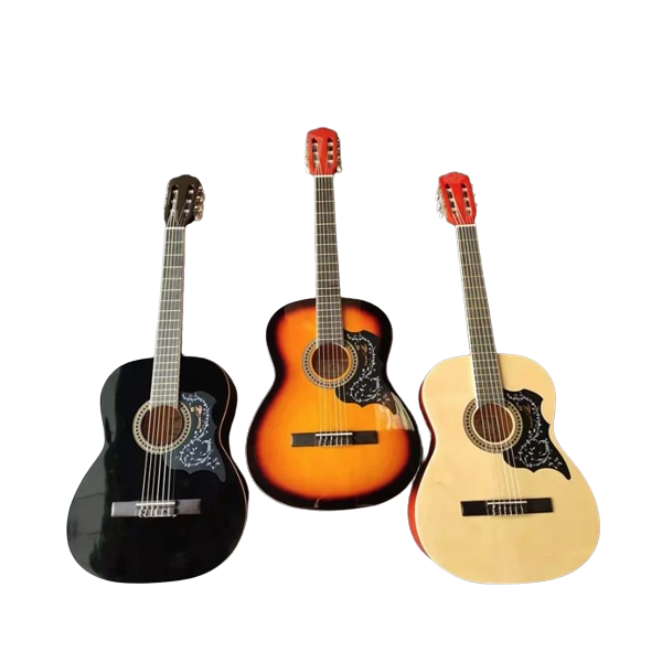 guitare CLASSIQURE EC-309-C