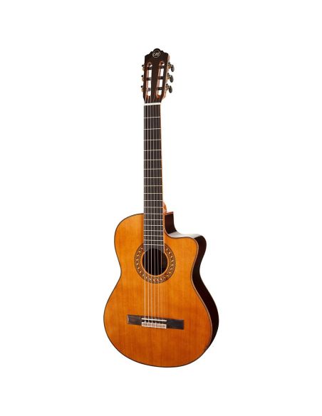GUITARE CLASSIQUE  Tangelwood EM DC5