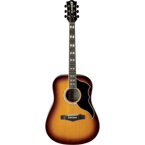 Guitare électro-acoustique EKO  RANGERVR6-EQ-HB