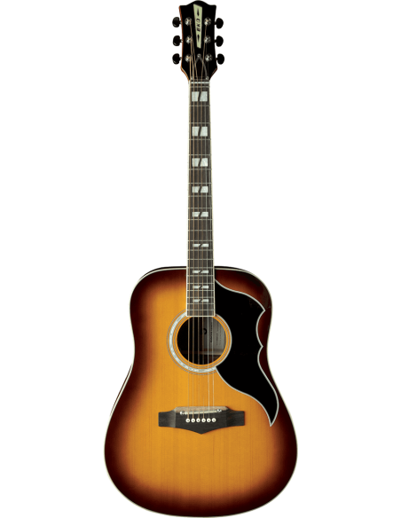 Guitare électro-acoustique EKO  RANGERVR6-EQ-HB