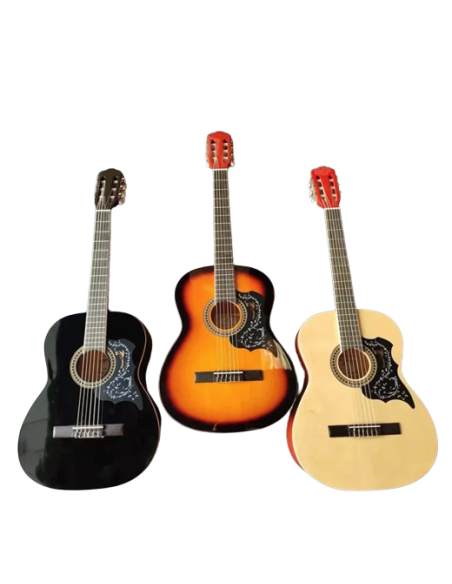 guitare CLASSIQURE EC-309-C
