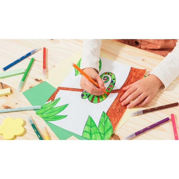 BIC Kids Visa Feutres de Coloriage à Pointe Fine - Couleurs Assorties, Pack de 12