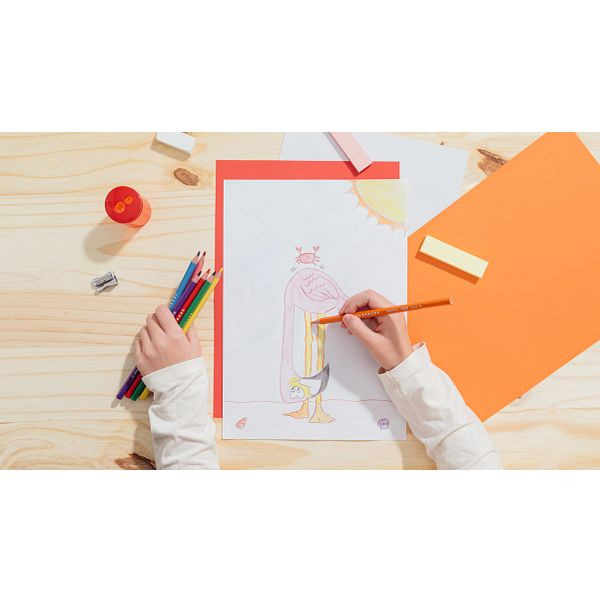 BIC Kids Evolution Crayons de Couleur - Couleurs assorties, Pack de 12