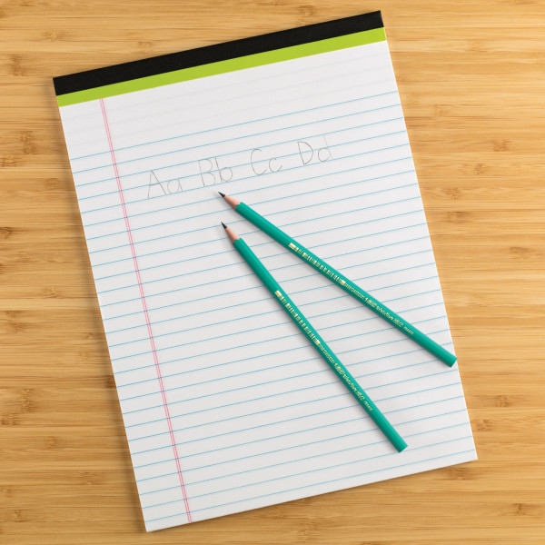 BIC Evolution Original Crayons à Papier Gris - Certifiés NF Environnement - Pointe HB, Boîte de 12