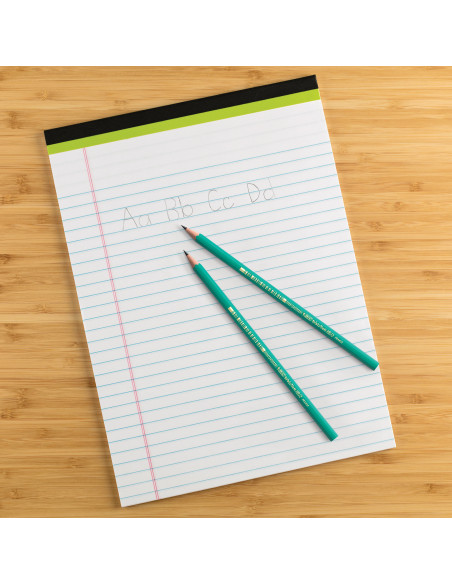 BIC Evolution Original Crayons à Papier Gris - Certifiés NF Environnement - Pointe HB, Boîte de 12