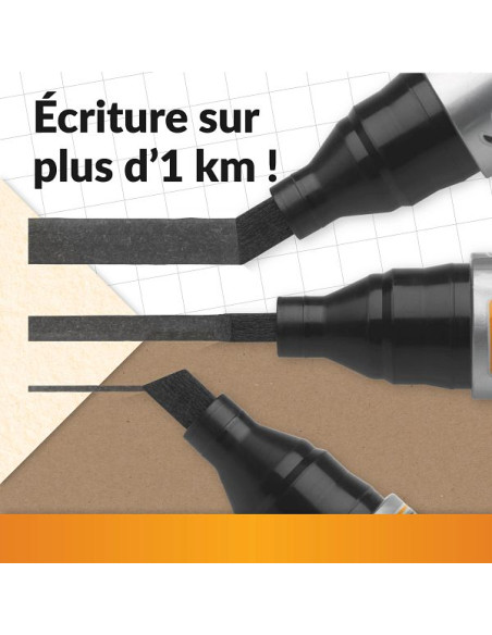 BIC Marqueurs Permanents à Pointe Ogive - Noir, Pack de 12
