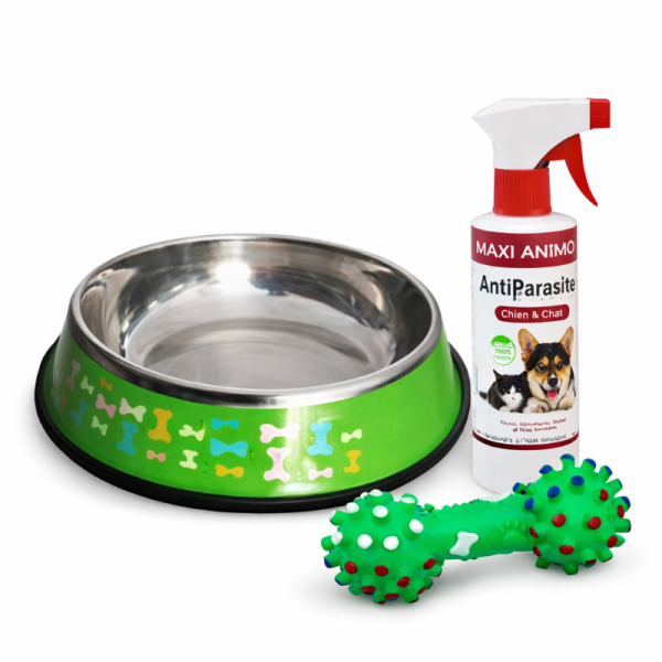 Pack pour chien: Gamelle inox avec...