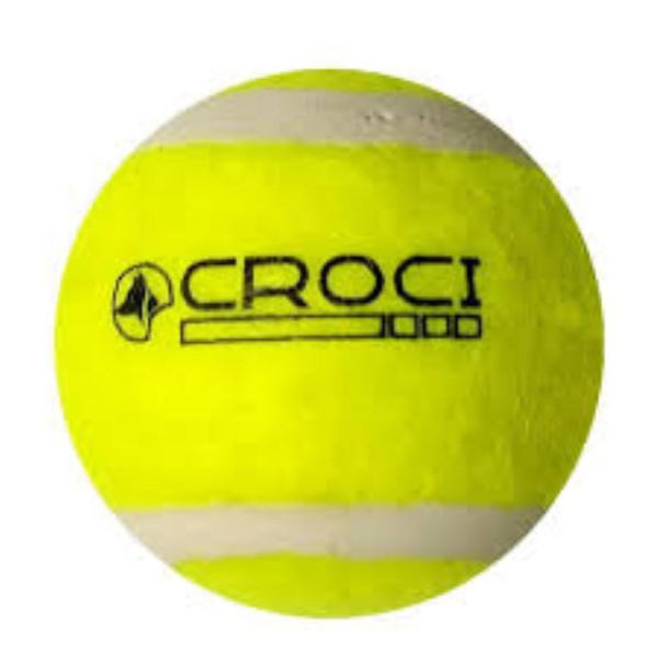 Kit De Brosses Pour Capture Des Poils...