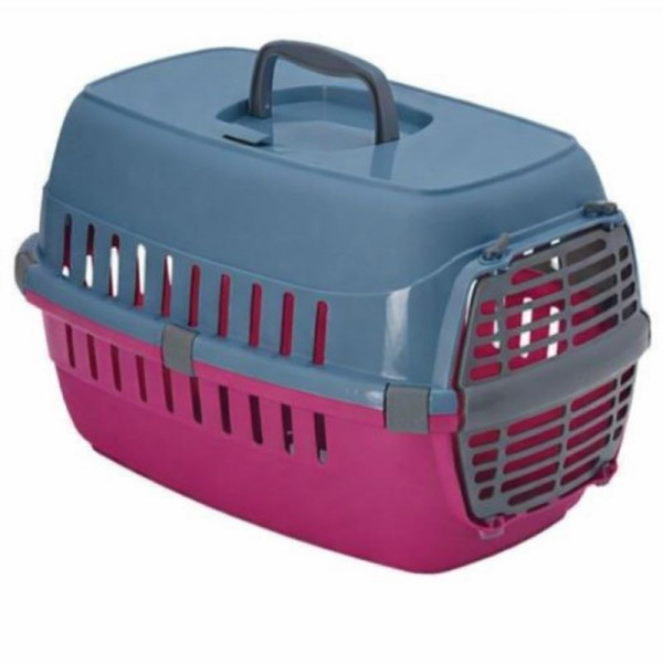 Pack rosé  pour chat et chaton 