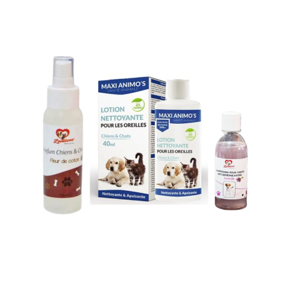 Pack pour chien : shampoing Parfum lotion nettoyante pour...