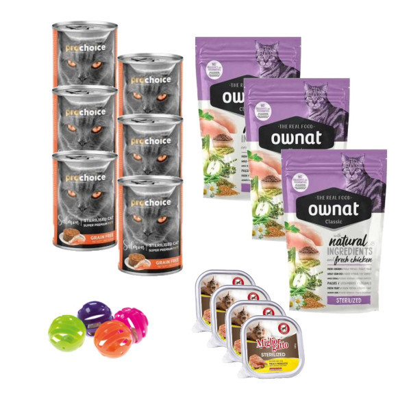 Pack Chat Stérilisée : Boite...