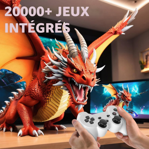 Vidéo Projecteur avec interface...