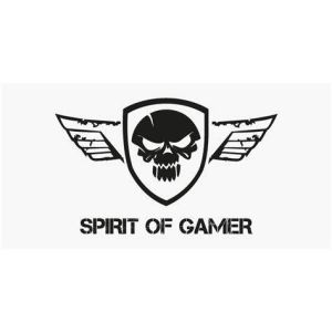 Spirit Of Gamer